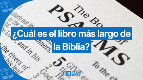 ¿Cuál Es El Libro Más Largo De La Biblia? | 2024
